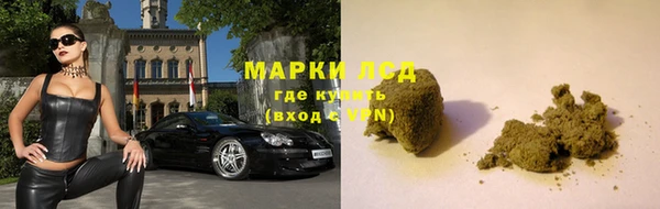 стаф Абаза