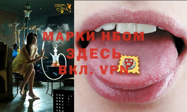 стаф Абаза