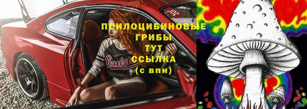 стаф Абаза