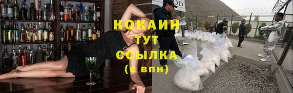 стаф Абаза