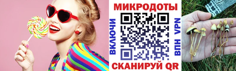 как найти закладки  Новоалтайск  Галлюциногенные грибы Psilocybe 