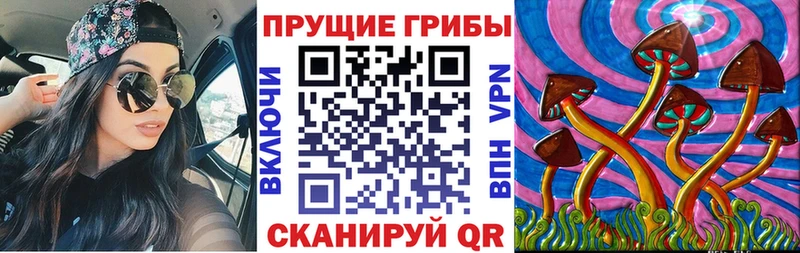 Галлюциногенные грибы Magic Shrooms Новоалтайск