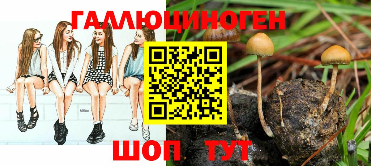 Галлюциногенные грибы Cubensis  Вход с VPN  Новоалтайск 